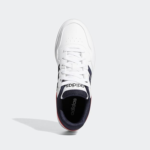 HOOPS 3.0