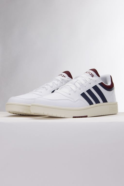 HOOPS 3.0