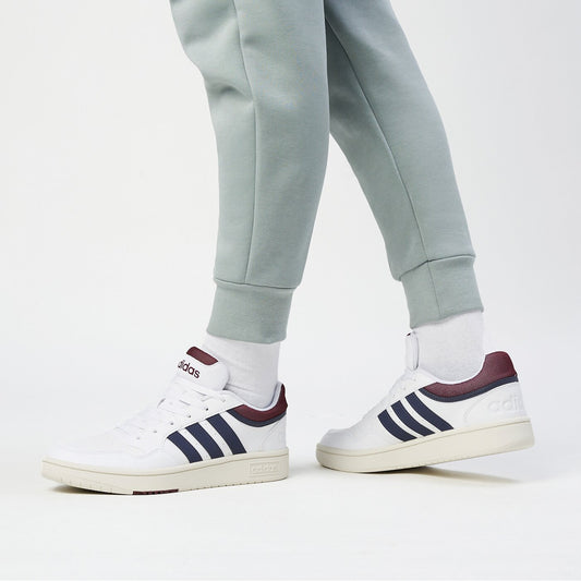 HOOPS 3.0