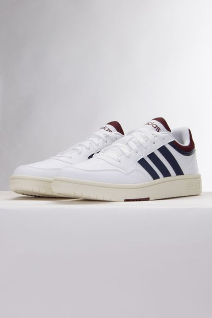 HOOPS 3.0