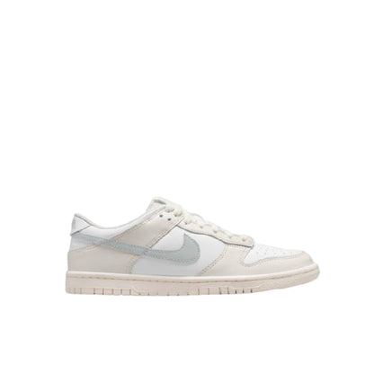 NIKE DUNK LOW C