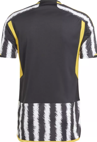 HR8256 JUVE H JSY